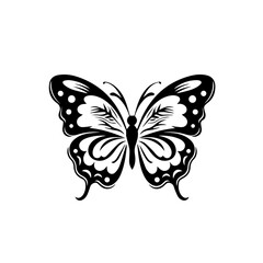 Butterfly Vector