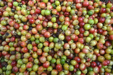 coffee beans texture background
