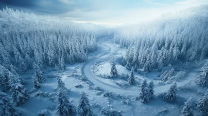 Foto op Canvas Aerial view of snowy winding road in woods in winter. Landscape of white forest with snow, sky and frozen trees. Concept of nature, travel, Siberia, Norway, country, season, © scaliger