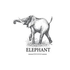 Elephant on grass animal logo design