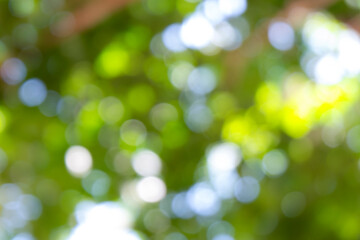 Obraz premium Green bokeh light nature from tree and sky background is a shiny naturally occurring shadow that is not clear but beautiful.