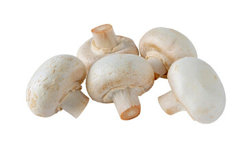 White champignons mushrooms isolated transparent png. Agaricus bisporus.