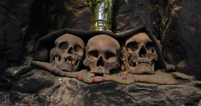 Real, ancient skulls - close up