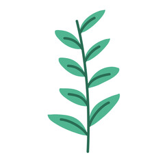Fototapeta premium Green Leaf Vector Illustration 