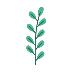 Green Leaf Vector Illustration 