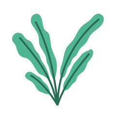 Green Leaf Vector Illustration 