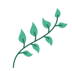Green Leaf Vector Illustration 