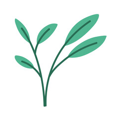 Green Leaf Vector Illustration 