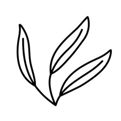 Leaf Lines Style Vector Illustration 