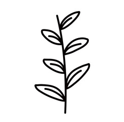 Leaf Lines Style Vector Illustration 