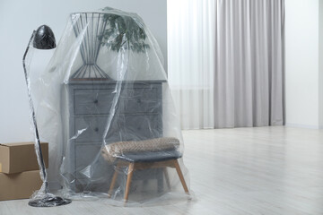 Modern furniture, houseplant covered with plastic film and boxes at home. Space for text