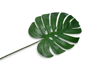 Artificial green monstera leaf leaves, exotic plant decoration