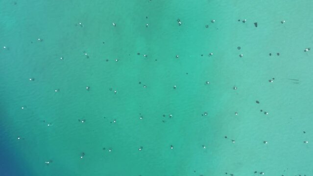 Lake Tahoe Buoys, West Shore Water