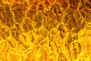 Textured glass with a pattern of curved reliefs, colored in shades of yellow, creating a gradient of hues with the interplay of light and shadow.