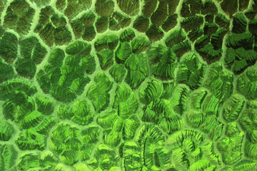 Textured glass with a pattern of curved reliefs, colored in shades of green, creating a gradient of hues with the interplay of light and shadow.