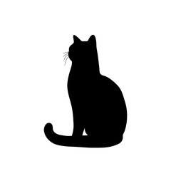 Czarny kot - sylwetka siedzącego kota. - obrazy, fototapety, plakaty