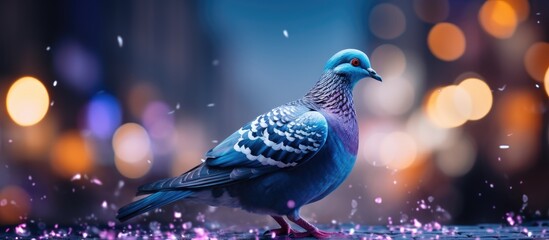 In the midst of natures tranquility a blue feathered bird with a beautiful beak glided gracefully with its wings embodying the essence of wildlife Playfully the funny pigeon lit up the outdo - obrazy, fototapety, plakaty