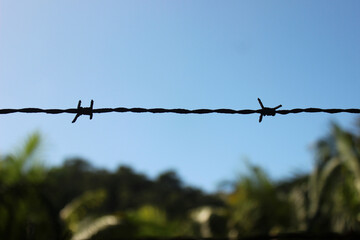 Rural life in perspective, close-up view of a barbed wire fence in the foreground, while a blurred natural landscape with blue sky and trees unfolds in the background.