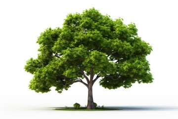 Obraz premium Green tree isolated on white background for landscape and architecture design. Generative AI