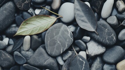 Immerse in the tranquil Zen garden, where each pebble and rake stroke conveys profound significance. Serenity reigns with contemplative stillness
