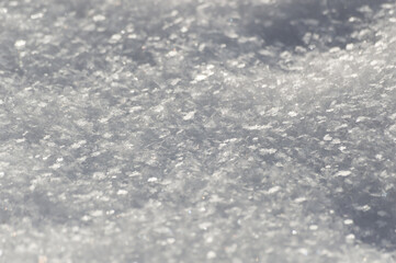 Snow texture. Winter background. Snowflakes close-up.