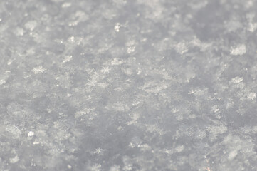 Snow texture. Winter background. Snowflakes close-up.