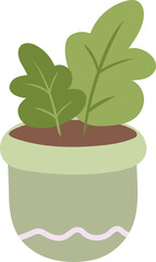 Monstera in pot illustration