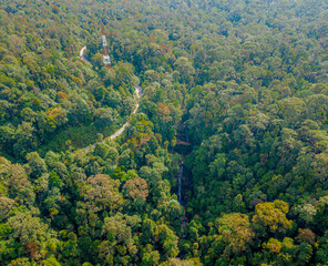 Aerial drone view of green lush jungle with a small waterfall in Endau Rompin State Park, Pahang, Malaysia
