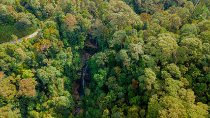 Aerial drone view of green tropical jungle with a small waterfall in Endau Rompin State Park, Pahang, Malaysia