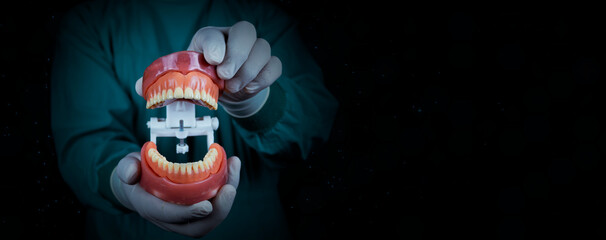 Dental clinic services concept. The doctor holds a model of the lower jaw and upper teeth. Dentist...