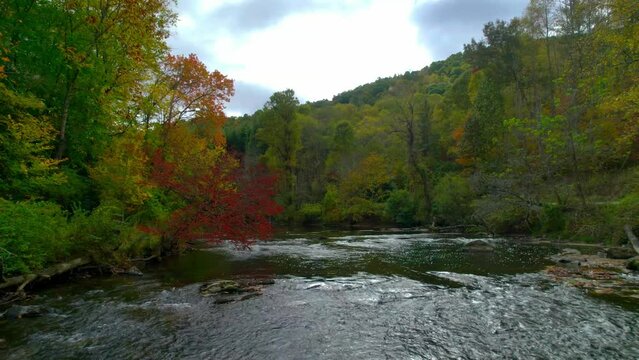 Drone glides over a running river in the mountains of North Caroline in the fall with colorful leaves painted in the background.