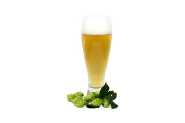 Glass of beer with hops cones isolated on white