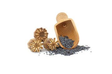 Poppy seeds and seed pod over white background