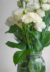 Flower white macro close up beautiful flowers