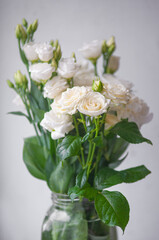 Flower white macro close up beautiful flowers