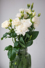 Flower white macro close up beautiful flowers