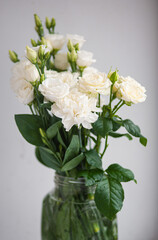 Flower white macro close up beautiful flowers