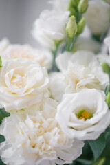 Flower white macro close up beautiful flowers