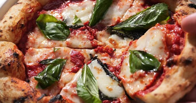 Margherita pizza with mozzarella cheese, tomato sauce, olive oil and basil leaves.