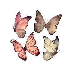 Set of butterflies watercolor illustration