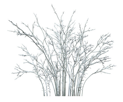 Snowy cover trees branches shrubs winter time cutout on transparent backgrounds 3d illustrations
