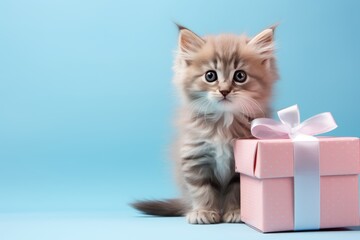 Gift and little kitten, gift ribbon, greeting on pink and blue background, holiday card