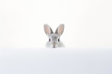 An inquisitive dwarf rabbit exploring a minimalist white environment. Generative AI