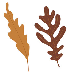 Obraz premium Autumn and Fall Season Theme Simple and Cute Vector Arts