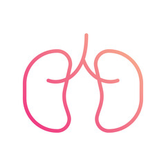 Kidney icon isolate white background vector stock illustration.