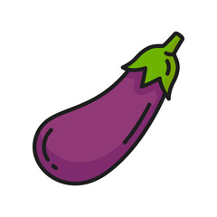 Purple aubergine vegetable eggplant isolated color thin line icon. Vector brinjal edible vegetarian food, guinea squash, farm and agriculture product