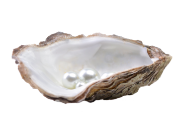 Pearls on a white background isolated