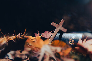 Autumn landscape with bright lights, fallen leaves, red maple leaves and the holy cross of Jesus...