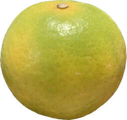 orange isolated on white, Thai golden orange Tangerine isolation as water color style
