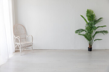 White armchair and green palm tree plant in the interior of a dark gray room